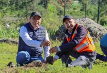 Carroll colabora en mitigar el impacto del Cambio Climático con la producción de forrajes